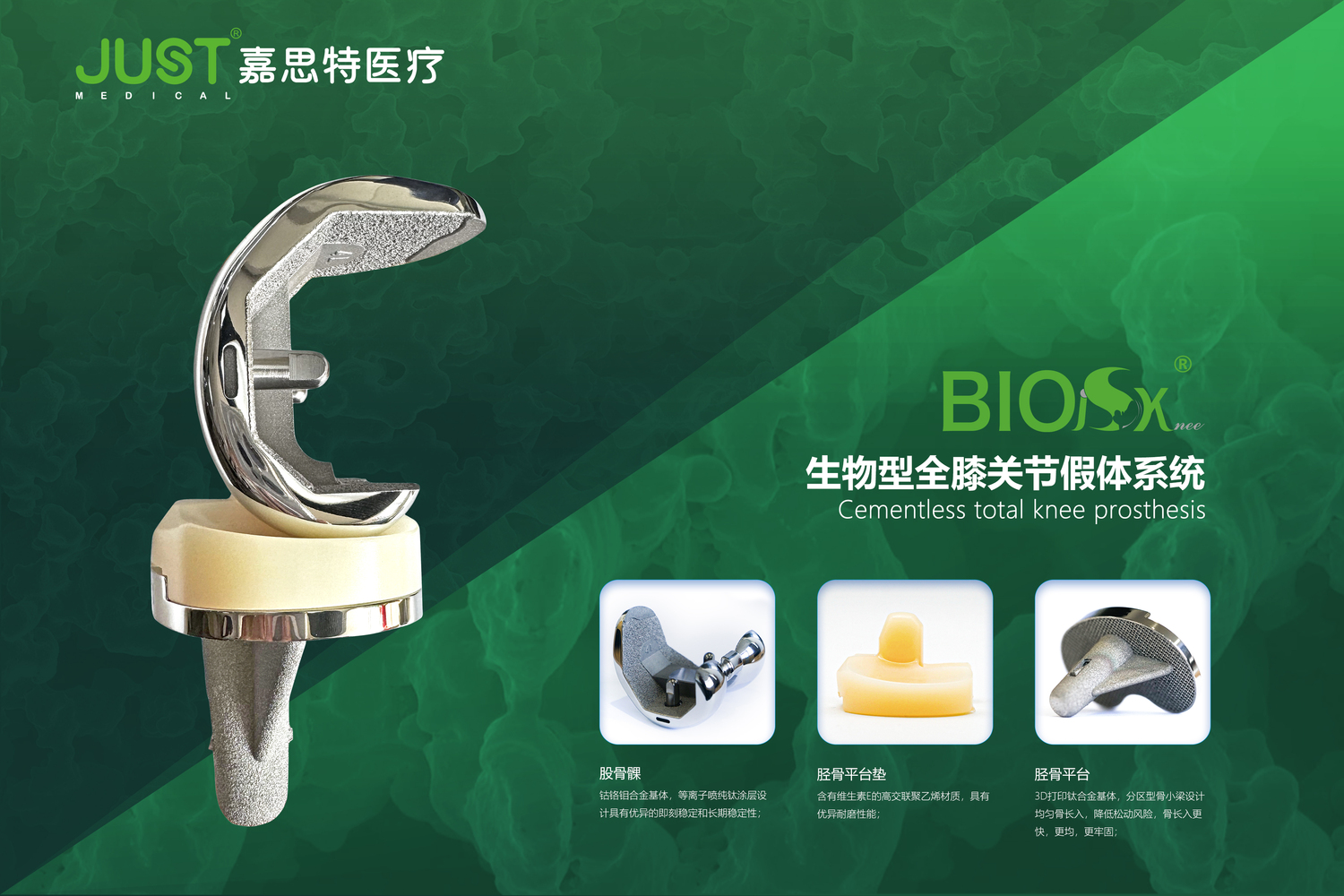 MTSK-生物膝改(1).jpg