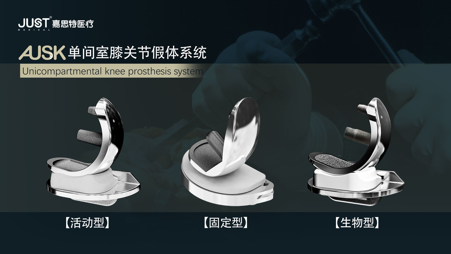 单髁系列(3).jpg